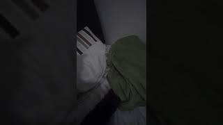 Freddo The Frog And The Monkey Episode 1 Season 1 Building A Robot