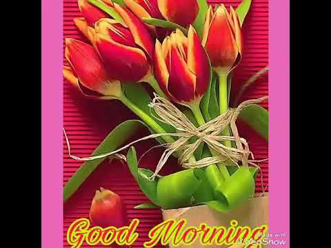 Selamat pagi sahabat