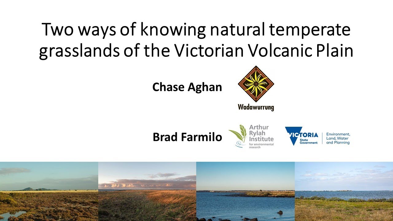 Two Ways of Knowing Temperate Grasslands- Chase Aghan & Brad Farmilo