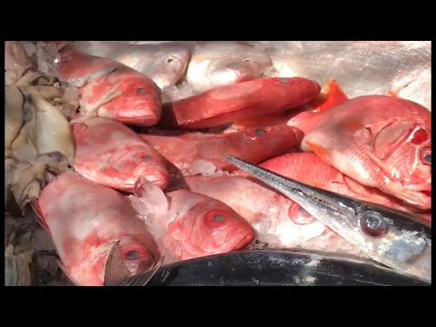 جربوا تعملوا سمكة ابو شراره مشويه بالطريقة دى هتدعولى