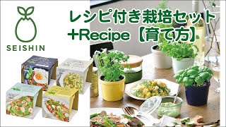 レシピ付栽培セット