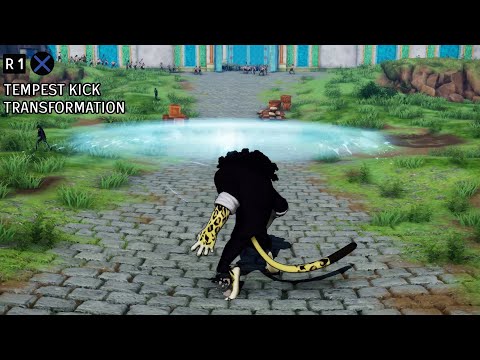 One Piece Pirate