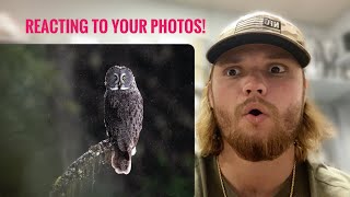 Critiquing YOUR wildlife photos!