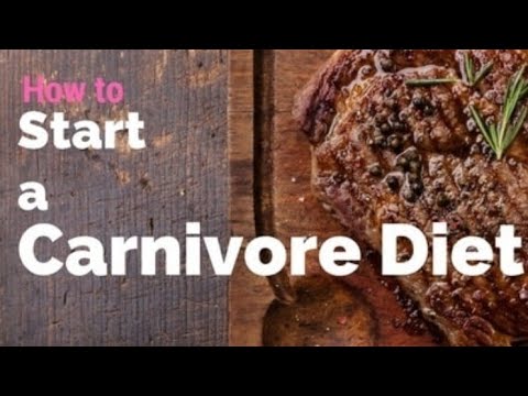 The Carnivore's Guide to Automotive Excellence: A Review of "Carne de Beef"