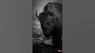 DISCOVERING YOUR TRUE PASSION  #motivation #stoic #passion