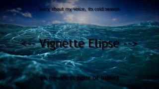 Composition Quick Tip Vignettes