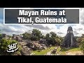 4K 360 - City Walks: Tikal, Guatemala - Explore the Ruins of the Ancient Mayan City