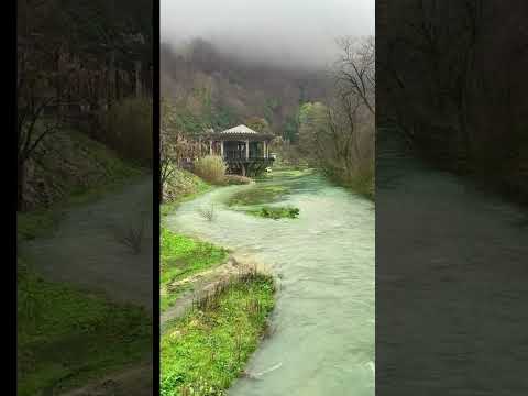 Beautiful #Nature #Relaxing