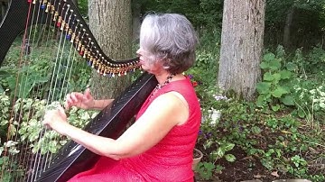 Thumbnail of Black Orchid