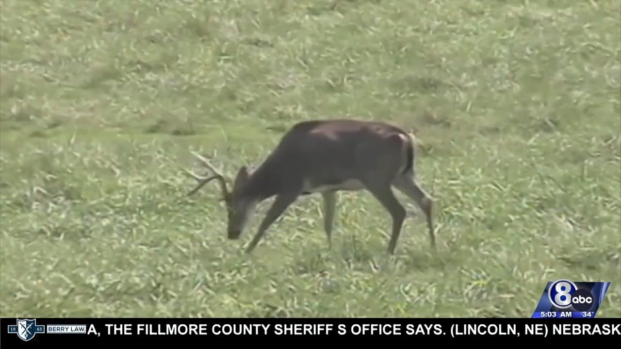 Nebraska Game and Parks gives safety tips before deer hunting season ...