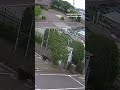 Bear chases and attacks man in Japan