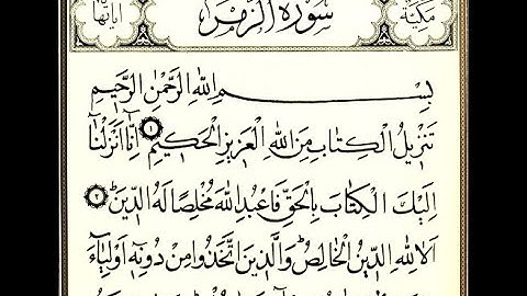 سورة الزمر - علي جابر