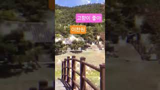 #이찬원#고향이#좋아#사콜#미스#미스터트롯 ☘️☘️