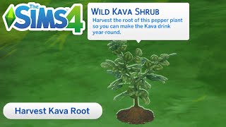 How To Find Kava (Location To Get Kava Root) - The Sims 4