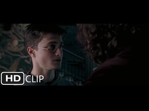 Harry and Sirius Share a Moment | Harry Potter and the Order of the Phoenix