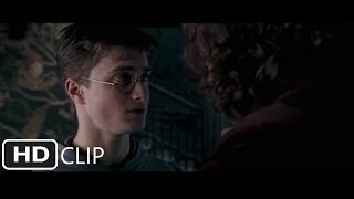 Harry and Sirius Share a Moment | Harry Potter and the Order of the Phoenix