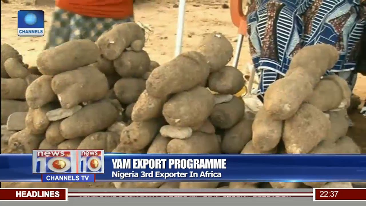 Yam Export Programme: Nigeria 3rd Exporter In Africa