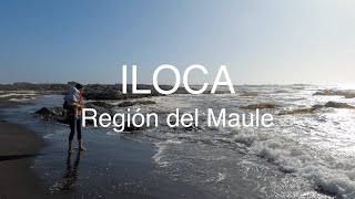 Iloca, Región del Maule, Chile (4k)