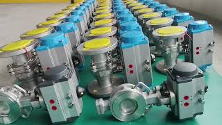 Pneumatic Ball Valve & Butterfly Valve