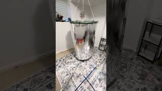 Kozyrev Mirror Update #2: The Torus Meditation Mirror