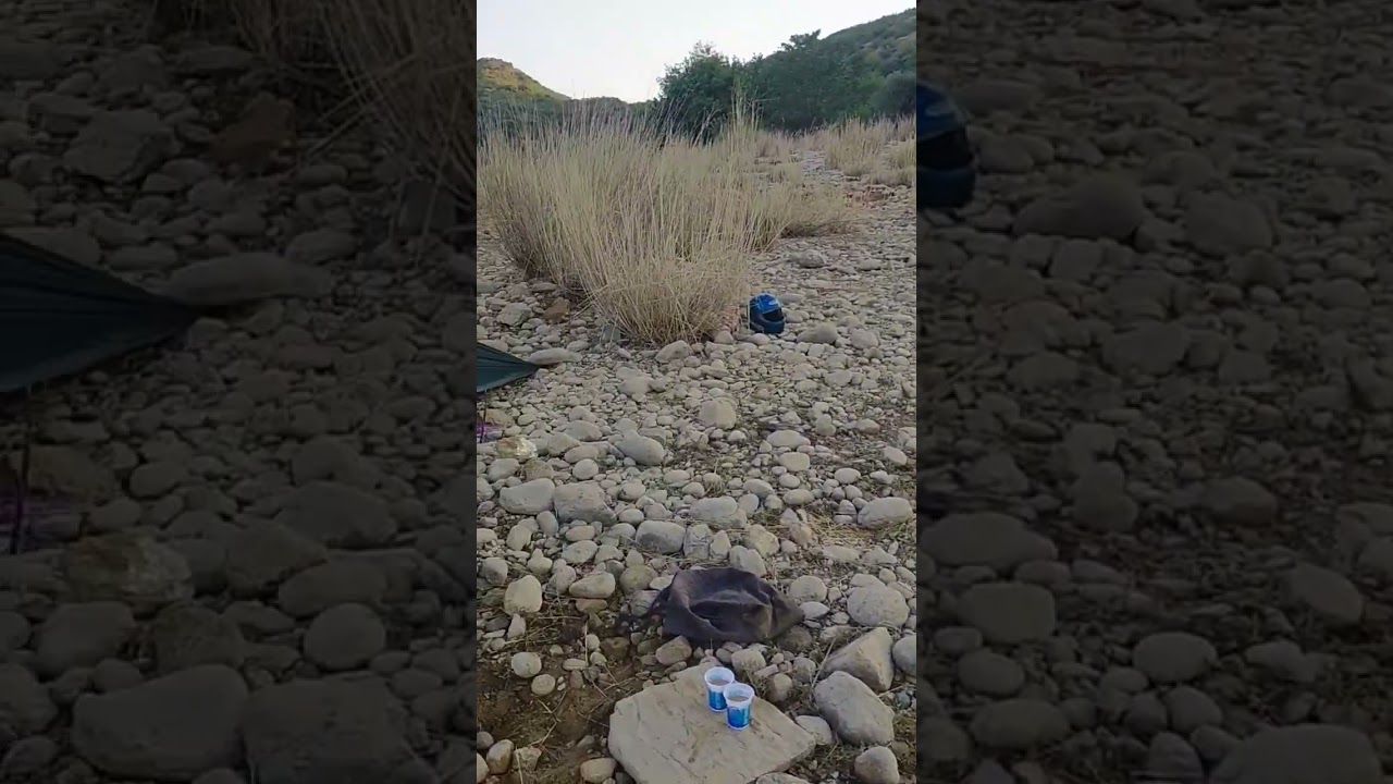 The grand fishing adventure || Chandni Chowk Tarbella || Point 