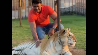 D BOSS | D BOSS IN DUBAI ZOO | KAATERA SUCCESS CELEBRACTION | CHALLEGING STAR DARSHAN | KAATERA |