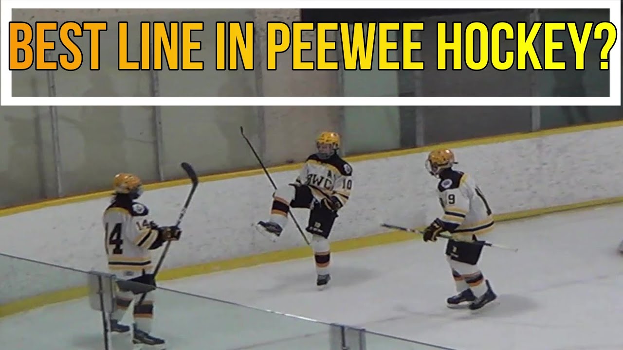 Virk / Oreskovic / Lam: The best line in Peewee Hockey?