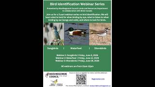 Bird Identification Webinar Series Part 2 — Waterfowl