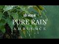 10 Hour - Gentle Rain on Leaves · Calming Sounds for Deep Sleep · Relaxation · Focus 🌿
