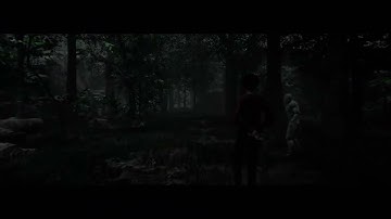 [UE5] Misty Forest Scene