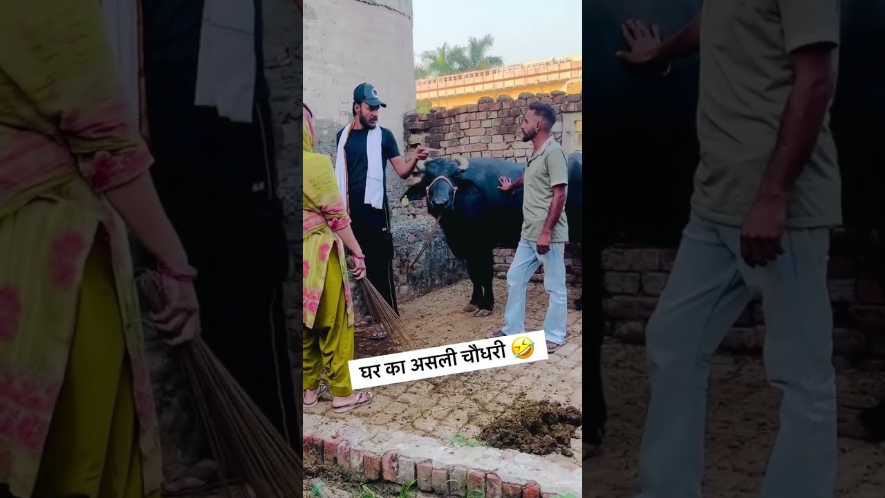 नैन फ़ैमिली कॉमेडी 🤣🤣🤣 #funnyvideo #comedyvideo #comedy #funny #laugh 