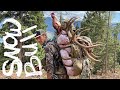 Camp Meat | A 2020 Public Land Archery Elk Hunt