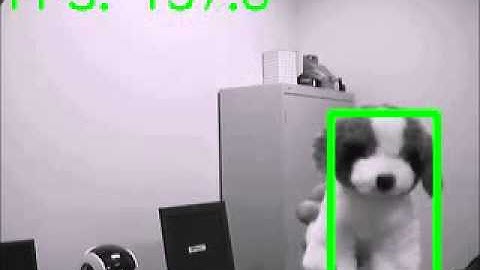 DTracker(optical flow) demo5