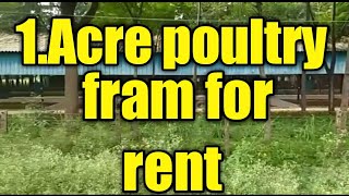 1 Acre poultry farm for rent  near nanjangud 18 km from (9980224635)