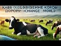 Перестройка природы: Как исчезновение коров изменит экосистему мира?
