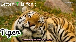 A to Z Animal | Learn Letter T with Animal Name 2024 #learnwithme #funforkids #abcd #animals #shorts