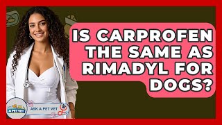 Is Carprofen The Same As Rimadyl For Dogs - Ask A Pet Vet