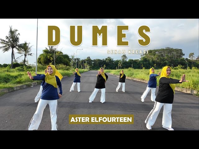 SENAM DUMES | Aster Elfourteen | Zaneva | Choreo by Ery Lukman class=