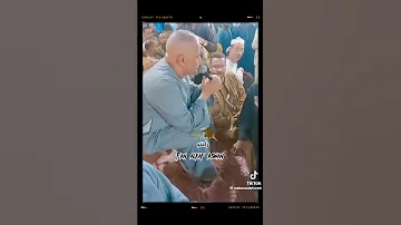 اسمع خانة شديدة من الفنان ياسر رشاد ياسر رشاد كف صعيدي 