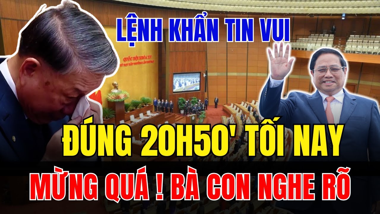 Tin tức việt nam thời sự mới nhất ngày 3/2/2026 ✈ Tin Nóng Chính Trị Việt Nam và Thế Giới