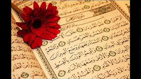 سورة الرحمان القارئ علي سعيد حفظه الله