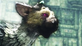 The Last Guardian Review: Vertigo, Déjà Vu, and one Very Big Cat