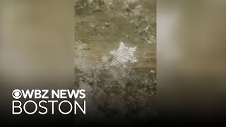 Stunning Dendrite Snowflakes Seen On Video In Maine