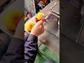 A Precise and Efficient Tool Technique for Assembling Small Components with Accuracy #shorts