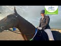 Petplan Medium Silver Summer Area Festival Champion: Jemima Upton & Centre Stage I