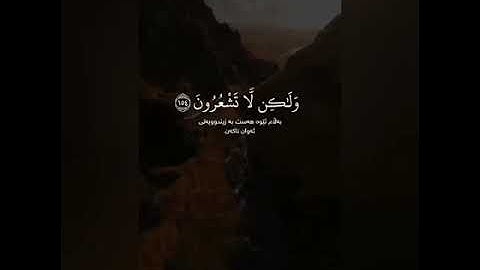 تلاوة من سورة البقرة الشيخ أسامه صبحي