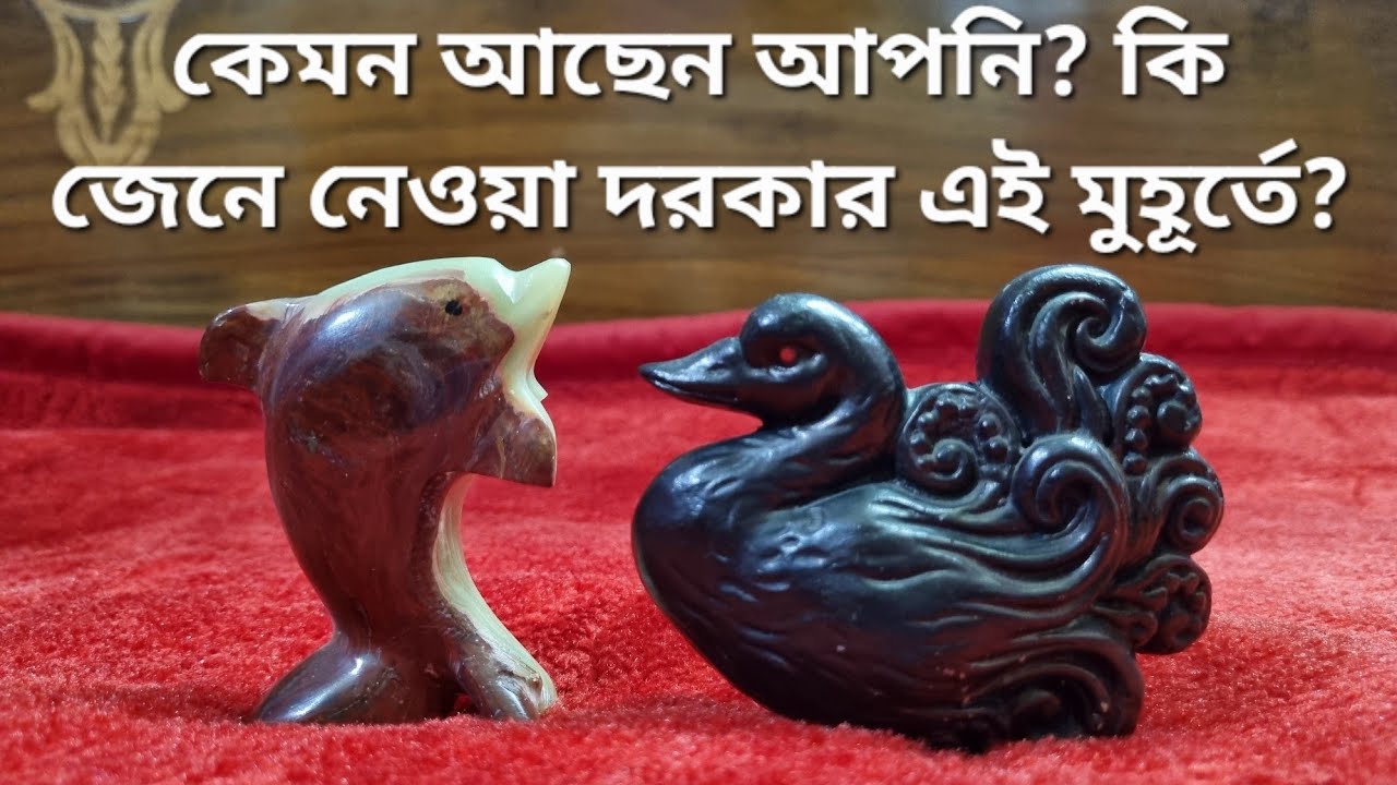 কেমন আছেন আপনি? কী বলছেন ঈশ্বর? #channelingdivine #channelledmessages #channelingenergy