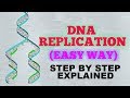 DNA REPLICATION (EASY WAY) / STEP BY STEP OF EUKARYOTIC  CELL