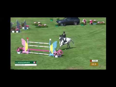 1. Présentation des quatre paliers VIP