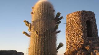 Tambo Coquesa Lodge - Potosí - Bolivia, Plurinational State Of